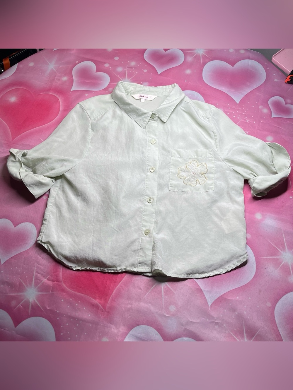 oakmoo classic point collar and a clean button placket